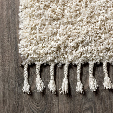 Mercer Shag Plush Tassel Area Rug